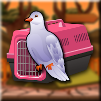 Play Games2Jolly Ringneck Dove Rescue From Forest