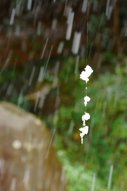 蜘蛛の糸に付いた氷