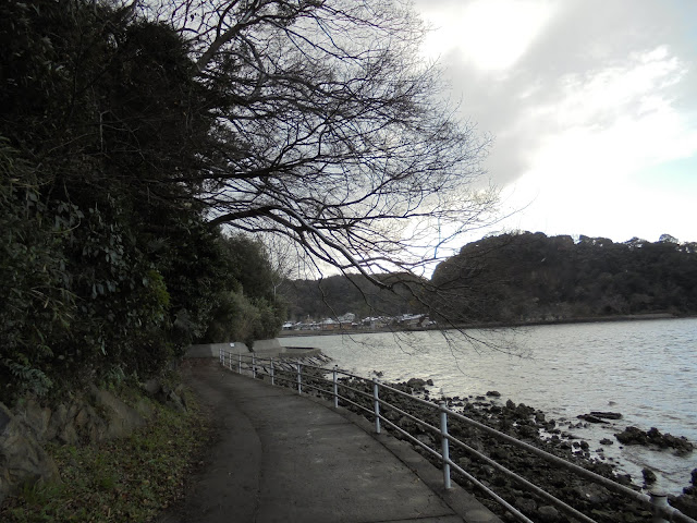 湊山公園の新加茂川よりの岸辺からの眺望