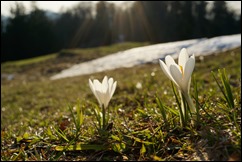 perlen2013052403