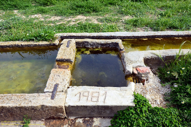 sesga-fuente-abrevadero-ventanica