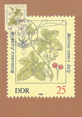 Maxicard "Brionia Dioica Jacq." - Allemagne1982