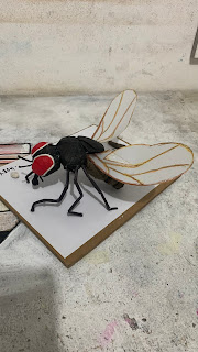 Mosca Musido