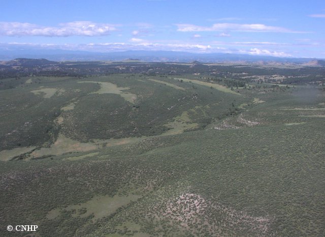 Whittaker diagram shown here, the figure to. Shrubland Biome