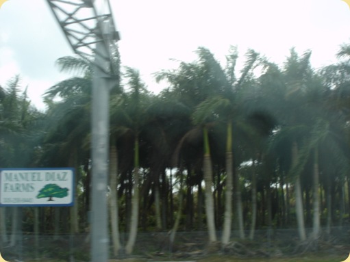 Fort Myer, FL 135