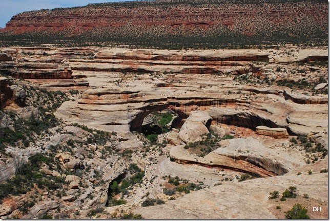05-17-14 B Natural Bridges NM (9)