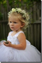 ca wedding 100
