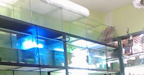 King Fish Aquarium DI JUAL AQUARIUM DAN RAK BESI 35 SET