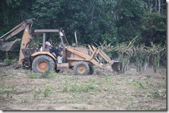 Jom berkebun 13.2.2011 2 036