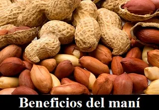 Conoce algunos beneficios maravillosos del maní o cacahuate