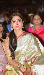 Actress Shriya Saran New Images in Silk Saree at Gautamiputra Satakarni Audio Launch  0027.jpg