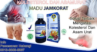  Madu Untuk Obat Asam Urat