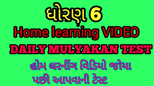 STD 6 HOME LEARNING DAILY MULYANKAN TEST