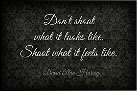 David Alan Harvey Quote: Shoot what it feels like... Via www.seeyoubehindthelens.com Dakota Visions Photography LLC