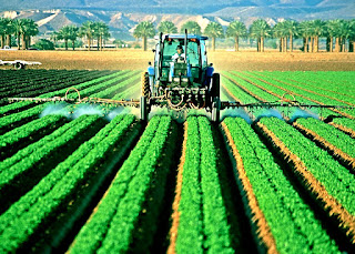  Farm Tractors Market