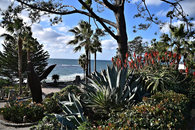 Pacific Coast Highway (2)