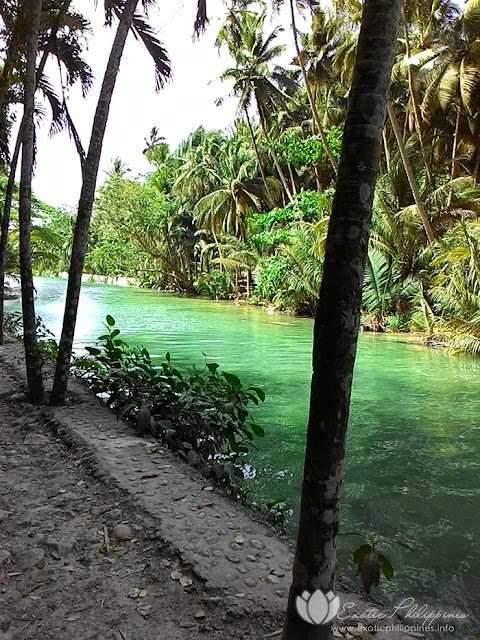 Travel Guide for Your Day Trip to Kawasan Falls in Badian Exotic Philipines Cebu Travel Blog and Blogger