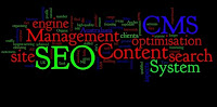 Improve Search Engine Optimization Efforts with CMS