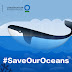  #SaveOurOceans Together with TikTok and Conservation International