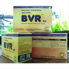 BVR