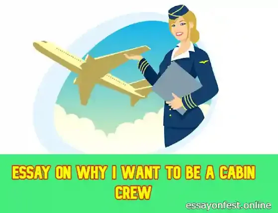 Essay On Why I Want To Be A Cabin Crew