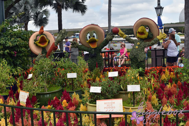 Epcot, Epcot International Flower and Garden Festival, International Flower and Garden Festival, Flower and Garden Festival, Epcot Center at Walt Disney World, Epcot's Spring festival, Walt Disney World in the Spring time,