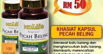 Ubat Kencing Manis Daun Belalai Gajah - Buku Resep y