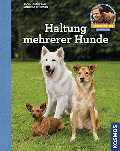 Haltung mehrerer Hunde: Martin Rütters Hundeschule