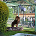 Parque Ecológico “Zacango” sede del Congreso Internacional de Promotores de Bienestar Animal