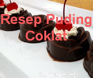 Resep Membuat Puding Coklat Enak dan Sehat