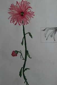 Flower Study