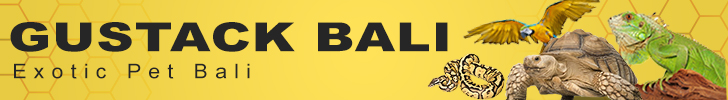banner image
