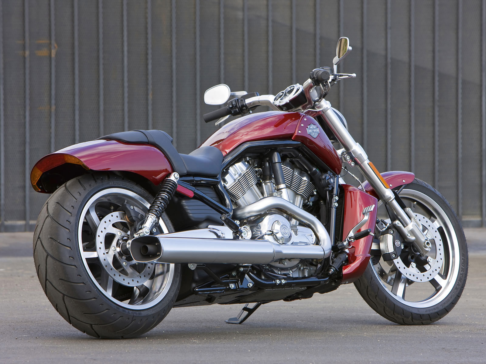 VRSCF V-Rod Muscle. 2009 Harley-Davidson pictures