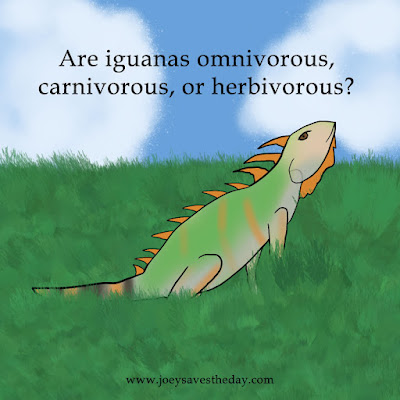 Facts about iguanas