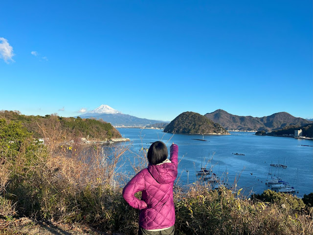 長浜城跡からの眺め