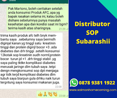 testimoni sop subarashi untuk Ginjal