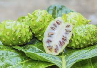 Nutrition Content, Benefits, and Side Effects of Noni Juice