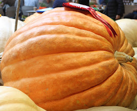 Pic of giant, first-prize pumpkin