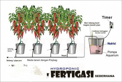 Membuat instalasi hidroponik sistem Fertigasi