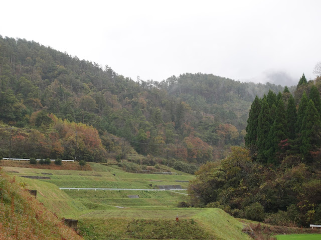 鳥取県米子市淀江町本宮 農道