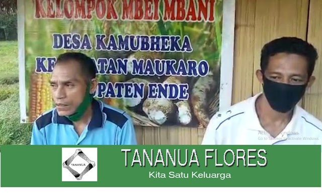 Cerita Inspirasi dari Kelompok Tani Mbei Mbani