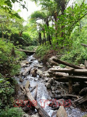 Backpacking ke Air Terjun Tancak Jember