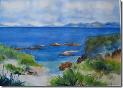 IMG_1909