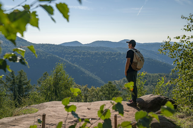 Forsthaus Annweiler Rundwege 3 und 5 | Zum Kirschfelsen und durch das Eiderbachtal | Wandern Südliche Weinstrasse 03