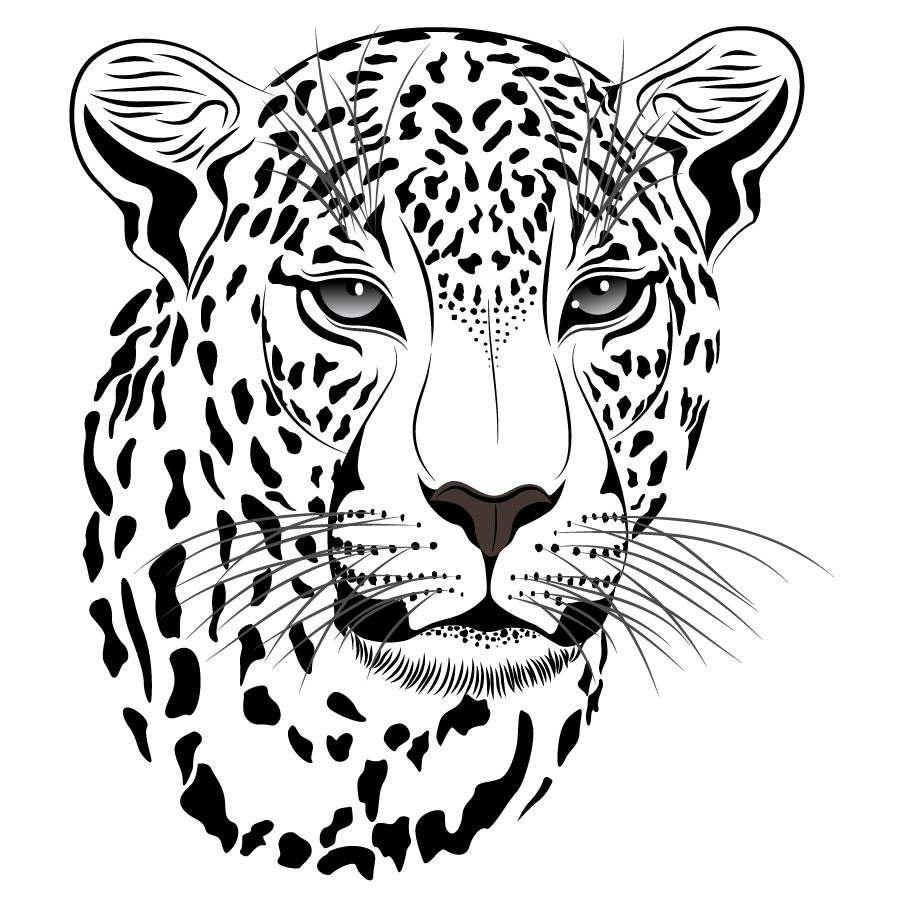 Ai Eps イラストレーター 虎の白黒イラスト Tiger Picture Vector イラスト素材