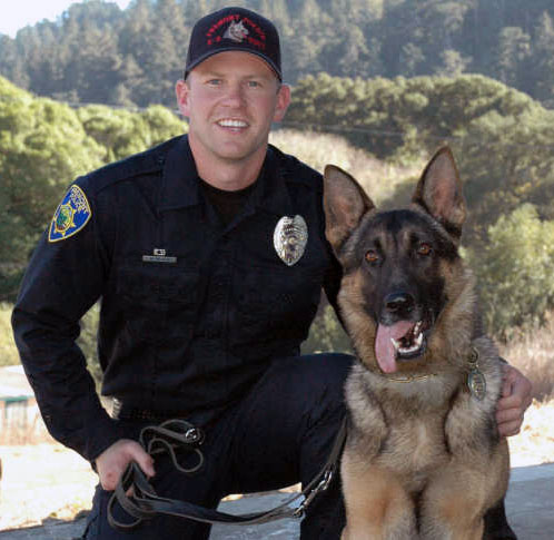 German Shepherd Police Dog Puppies