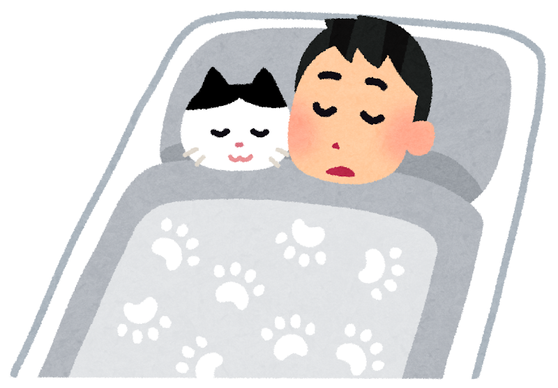 猫と一緒に寝ている人のイラスト かわいいフリー素材集 いらすとや