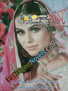 Pakeeza Digest November 2020 Pdf Download