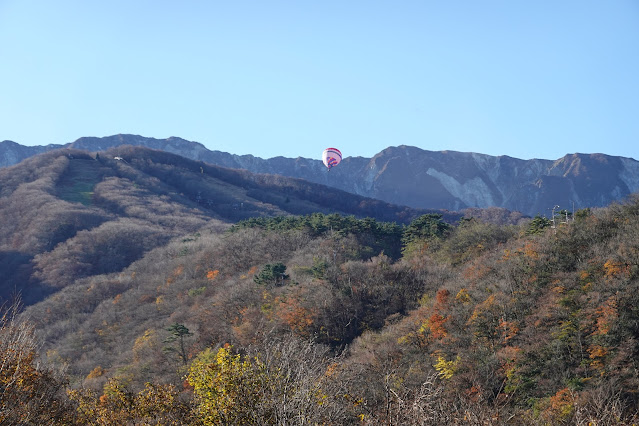 鳥取県西伯郡大山町 大山環状道路 気球発見