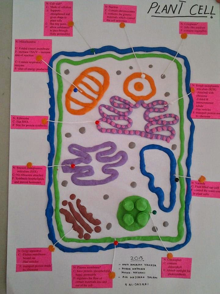 Soalan Biologi Tingkatan 4 Kertas 2 - Tersoal m